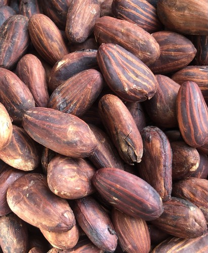 Roasted organic theobroma - organic,